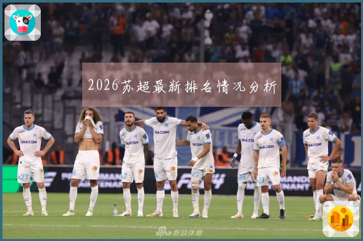 2026苏超最新排名情况分析